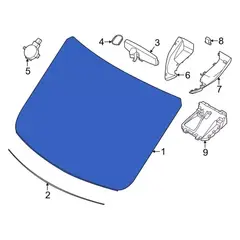 Windshield Glass