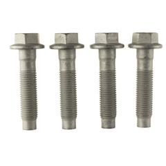 Bolt Bumper Swept - Steel