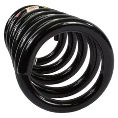 Coil Spring - Left, Rear
