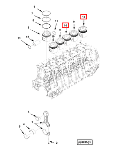 3697616 Image1