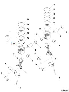 3694066 Image1