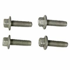 Screw