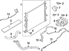 Hose - 2.0L