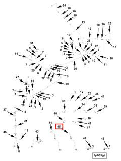 4080280 Image1