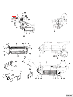 3631862 Image1