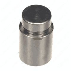 Plunger