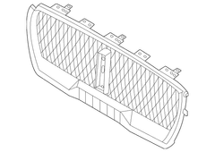 Radiator Grille - Front, Upper