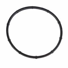 Fuel Injection Throttle Body Mounting Gasket - 6.4L.