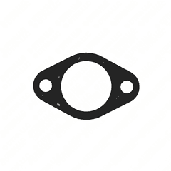 Seal - N 17003, 36 x 58 x 0.5, AF DBL6012.40
