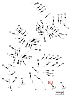 4080290 Image1