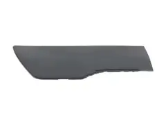 Body side Molding MOULDING Panel - Right, Front (WAGON)