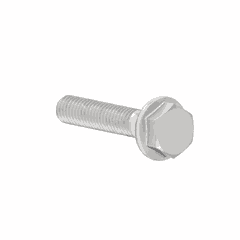 Screw