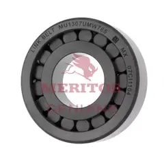 Bearing Assembly, Drive Pinion Spigot