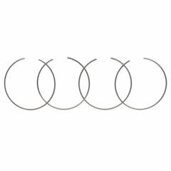 Ring Retaining (AT)