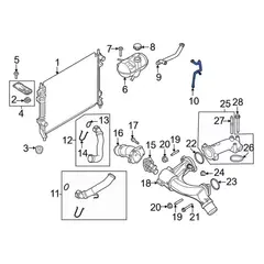 Engine Coolant Overflow Hose - 5.2L