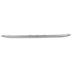 Grille Molding - Front