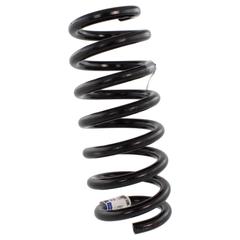 Coil Spring - Right, Rear