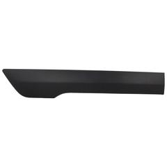 Body side Molding MOULDING Panel - Right, Front (CARGO VAN, WAGON)