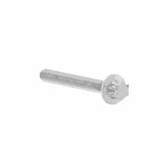 Screw