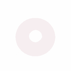 Pivot Shim