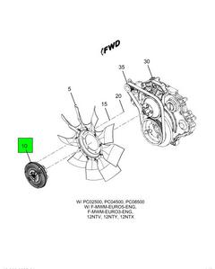 Figure 1HLY1