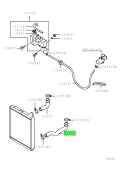 HOSE,RADIATOR,LWR 1