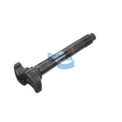 Camshaft