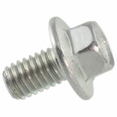 Screw Brake Dust Shield Bolt - M6 X 10MM