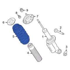 Coil Spring - Rear