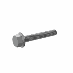 Screw