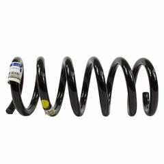 Coil Spring - Left, Rear