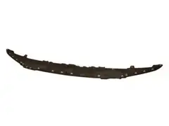 Valance Panel - Front (Phantom/Raptor)