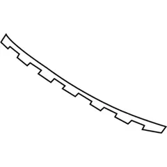 Grille Molding Insert - Front