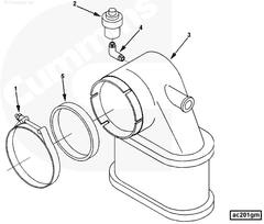 4938908 Image1