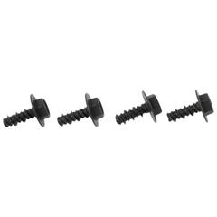 Screw and Washer