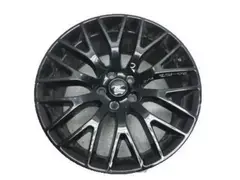 Wheel Rim - Front 19X9 Fr/19X9.5 Rr-Alum Prm Pntd