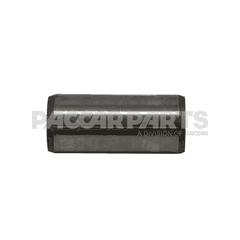 BUSHING-PIN SPRING