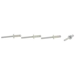 Rivet Blind - Rear