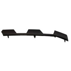Grille Molding Insert - Front