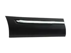 Door Molding Finish Panel - Right, Lower (DX)