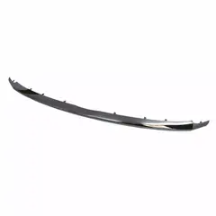 Grille Molding - Front