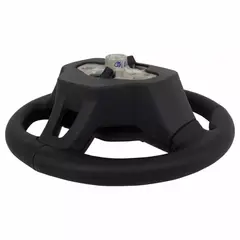 Steering Wheel (BEV SEL, BEV TITANIUM)
