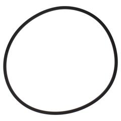 Seal (AT)