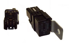 MK420480 1