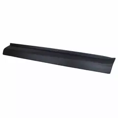 Door Molding Panel - Right, Outer