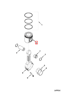 4898076 Image1