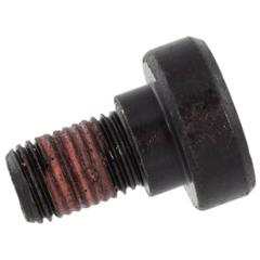 Seat Belt Lap and Shoulder Bolt