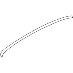 Roof Drip Molding Side Rail - Right