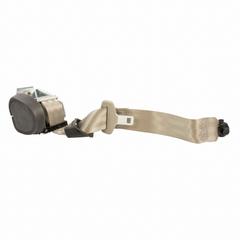 Seat Belt - Rear