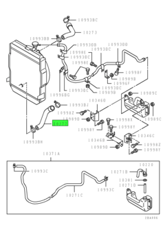 HOSE,RADIATOR,LWR 1